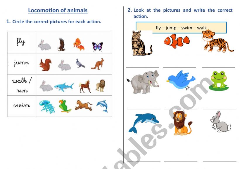 LOCOMOTION OF ANIMALS - FIRST GRADE