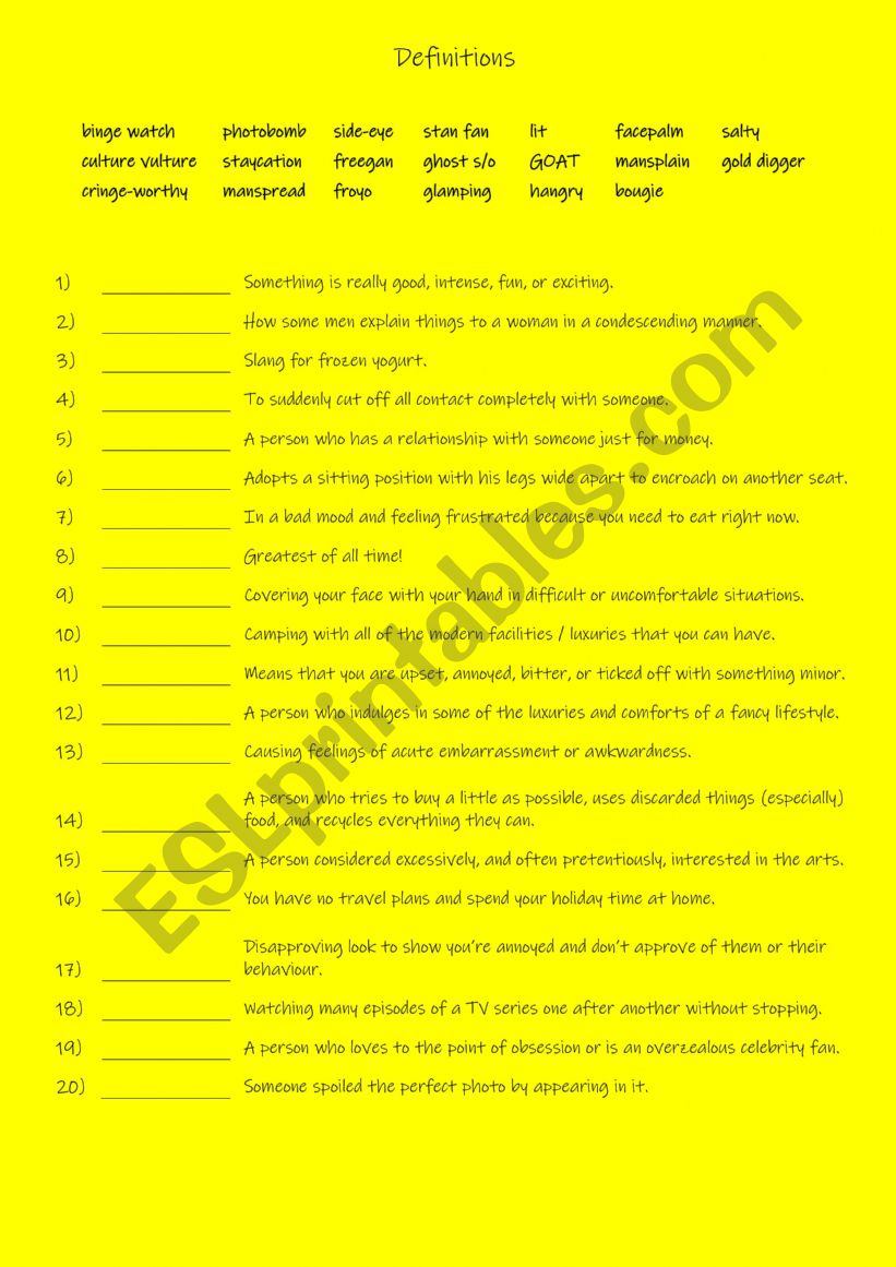 Zoomers  Word Definitions worksheet