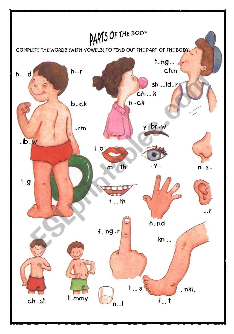 PARTS OF THE BODY worksheet