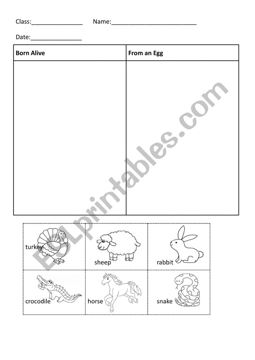 sorting viviparous / oviparous animals