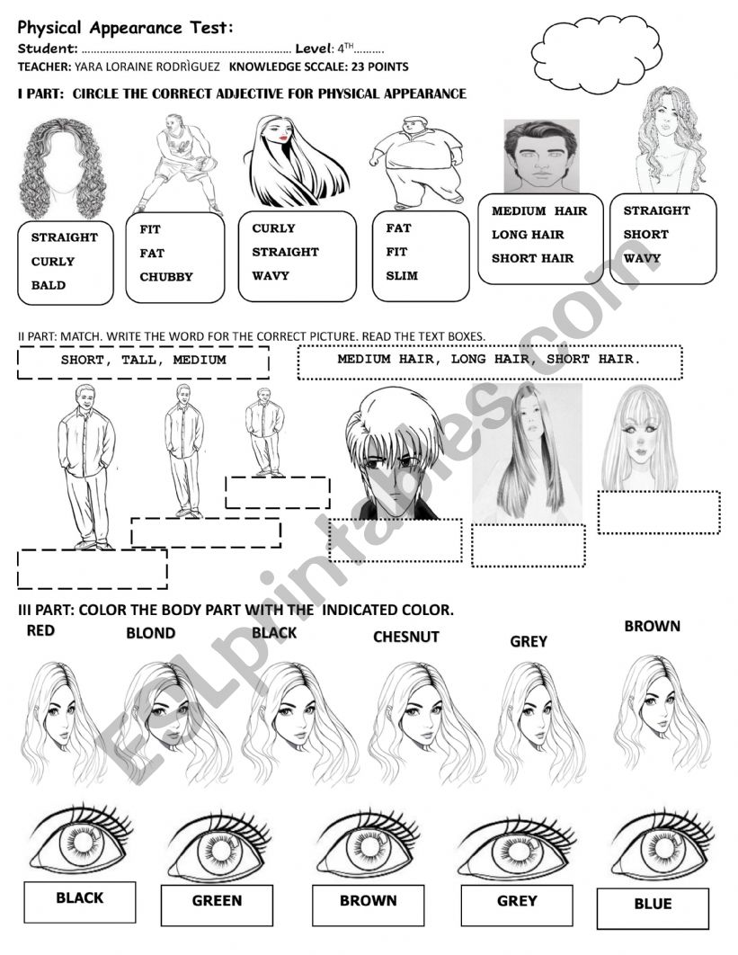 PHYSICAL APPEARANCE TEST  worksheet