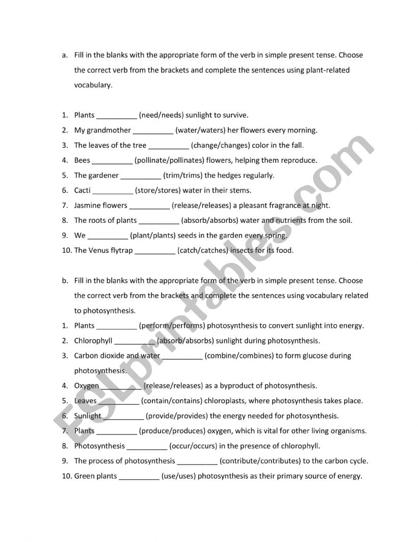 PLANTS  worksheet