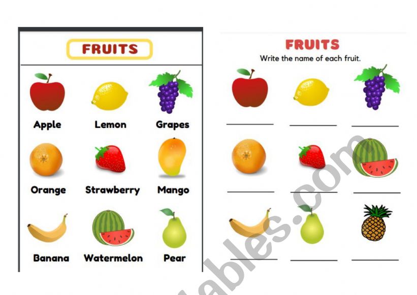 Fruit worksheet