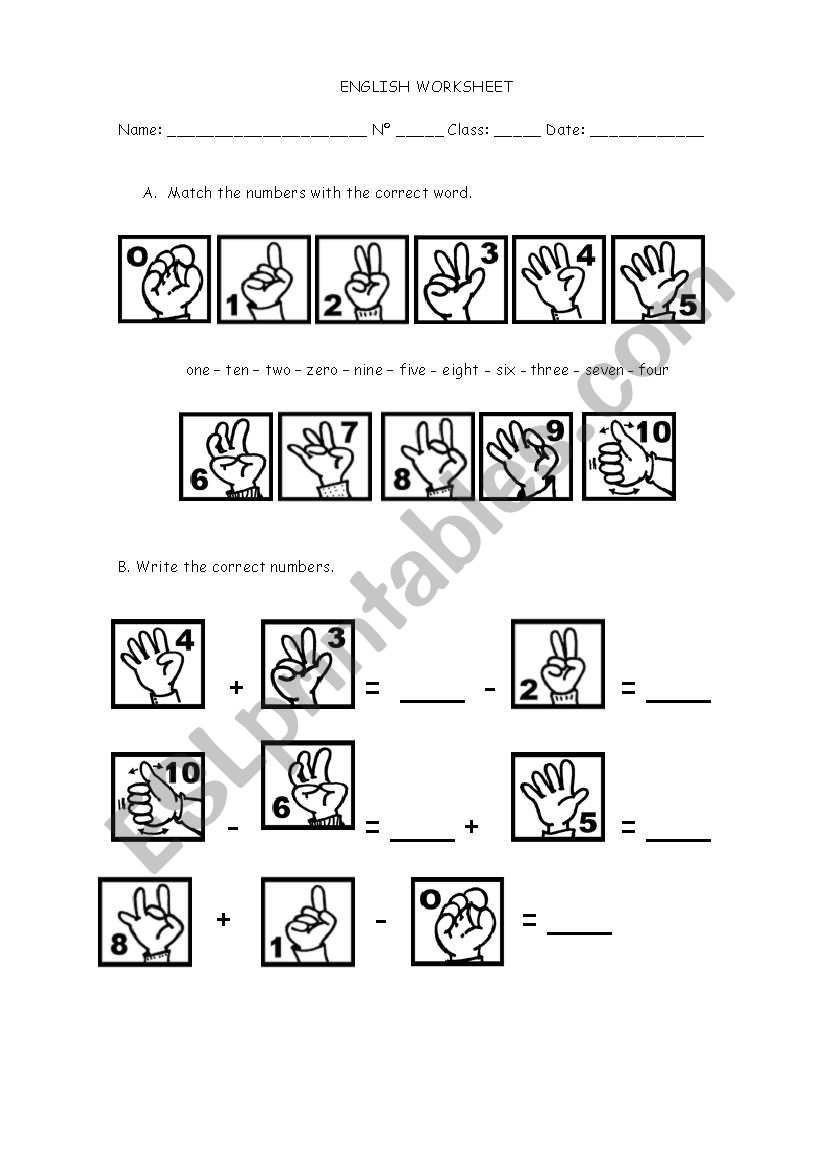 Numbers worksheet