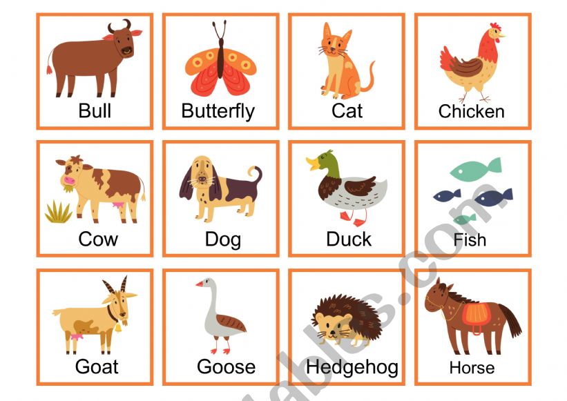 Animals cards worksheet