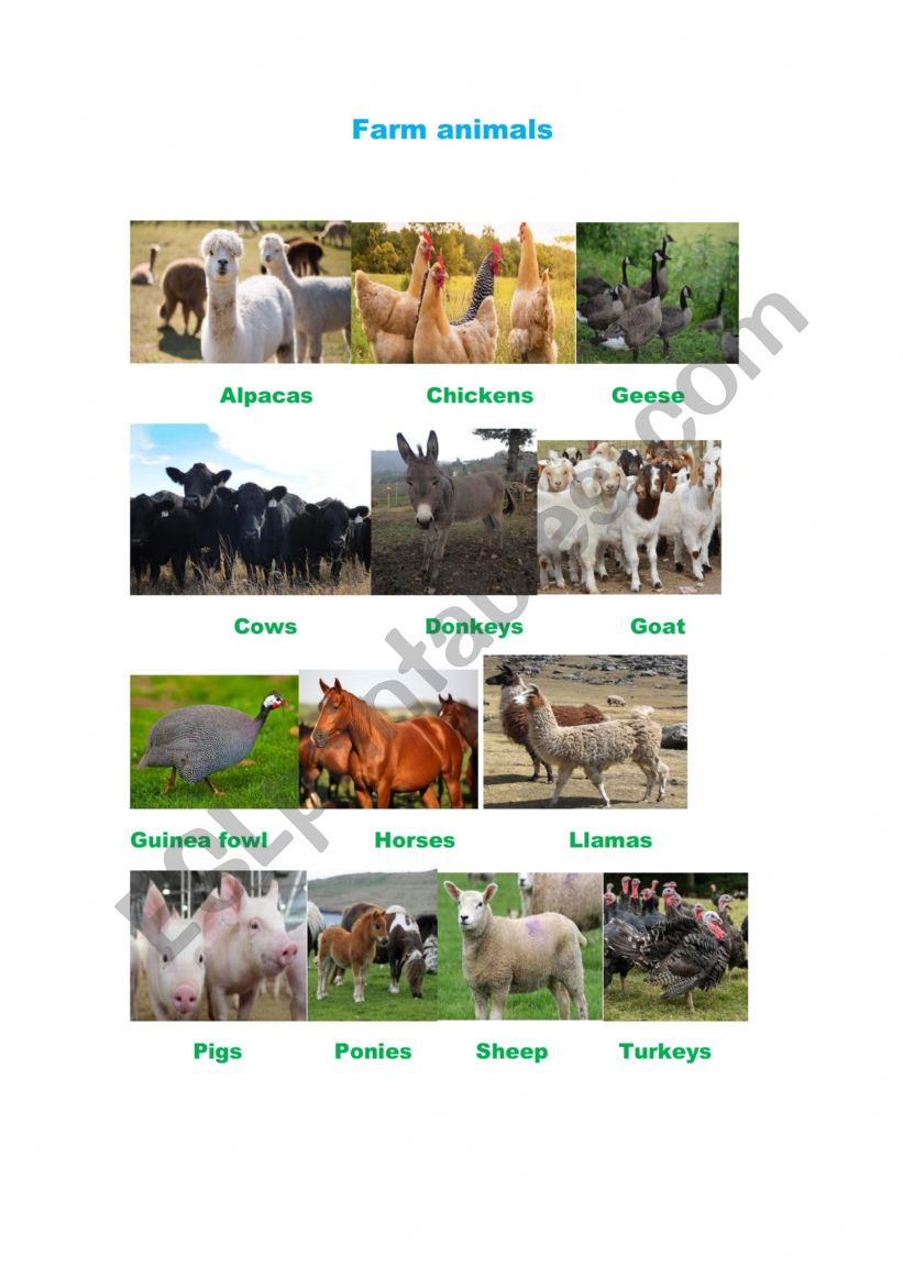 Farm animals pictionary worksheet