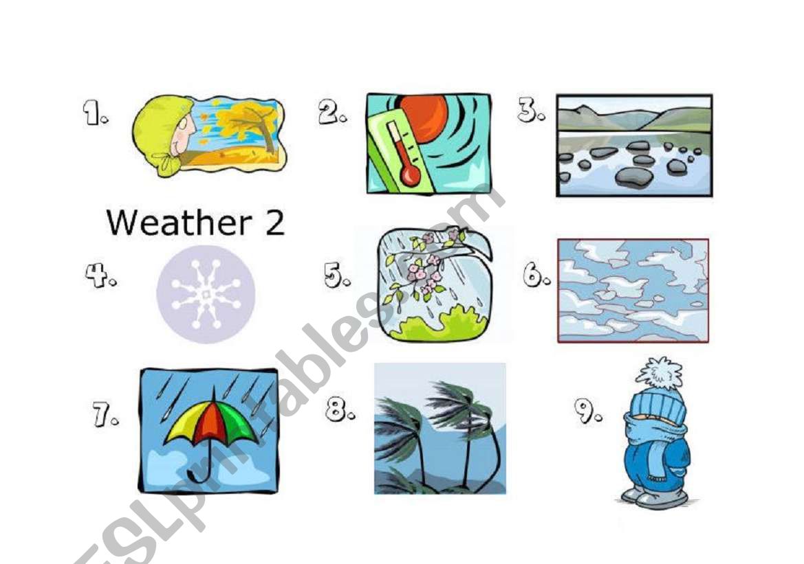 Weather worksheet