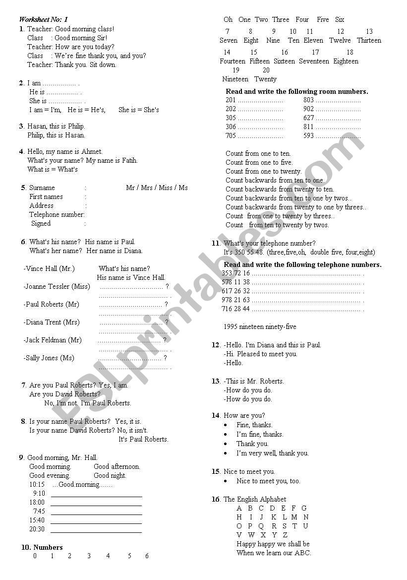 beginner worksheet 1 worksheet