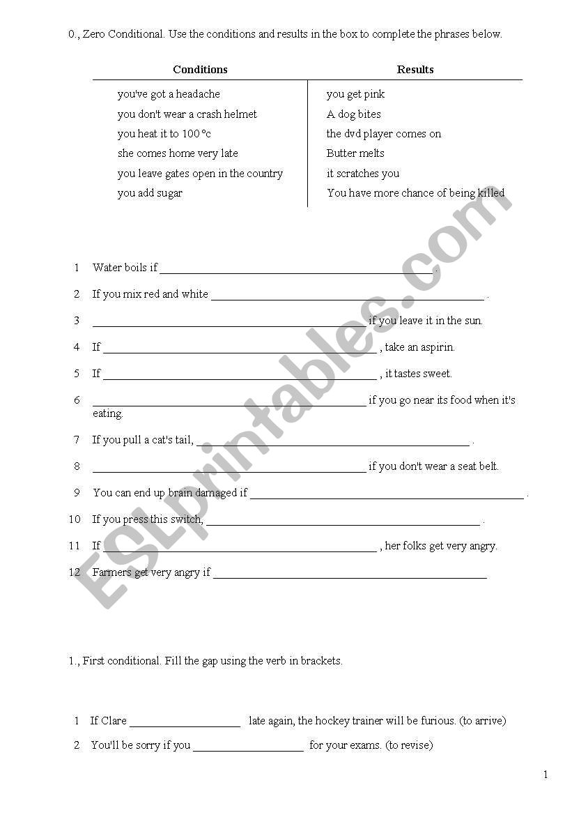 Conditional exercises worksheet