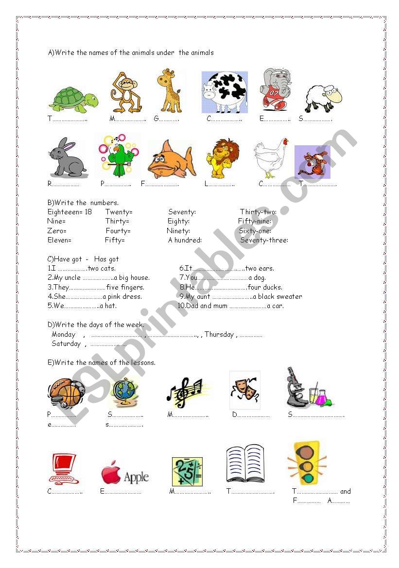 vocabulary about animals  worksheet