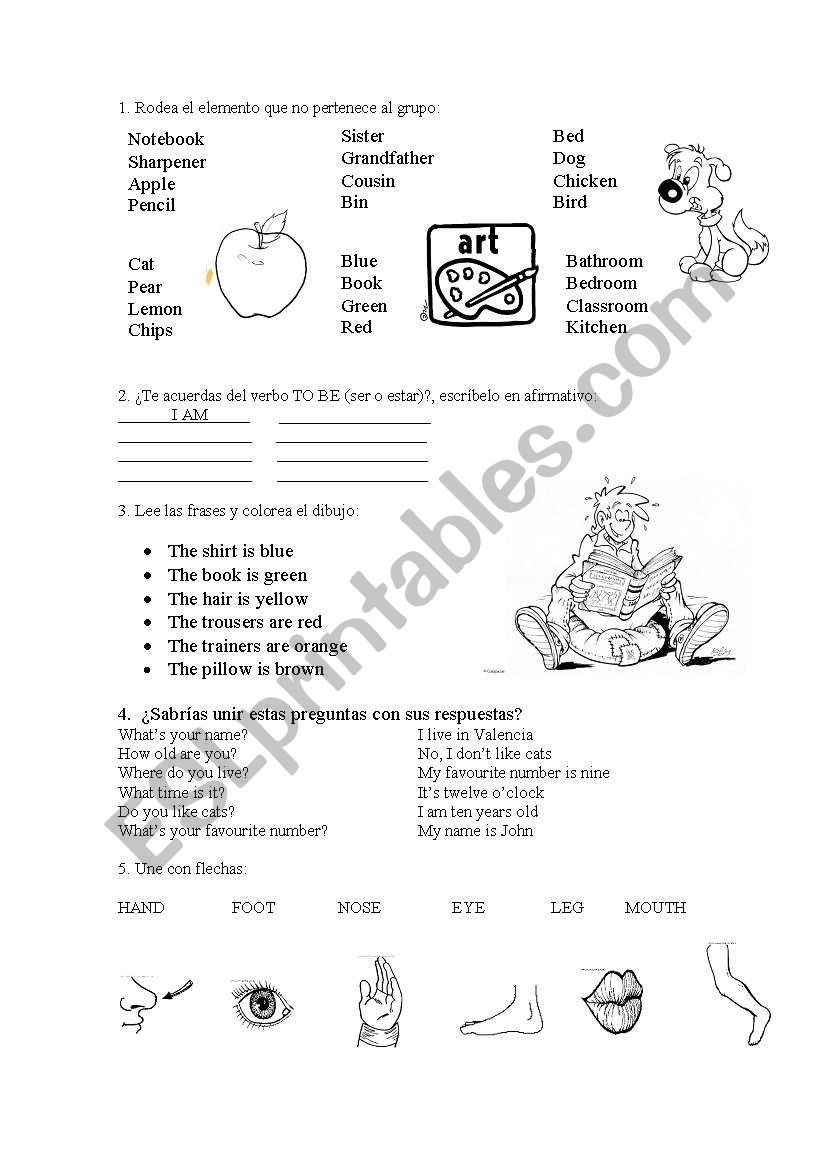 initial exam (mostly to rewiew vocabulary)