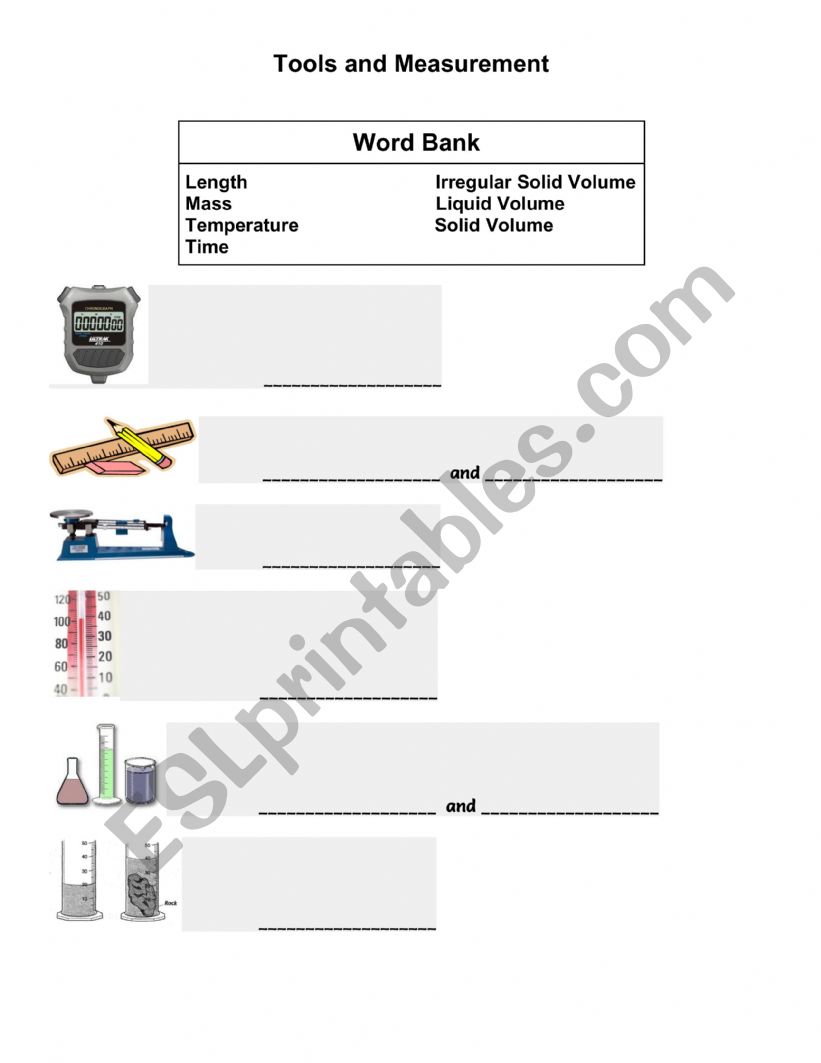 Science Tools and Measurement worksheet