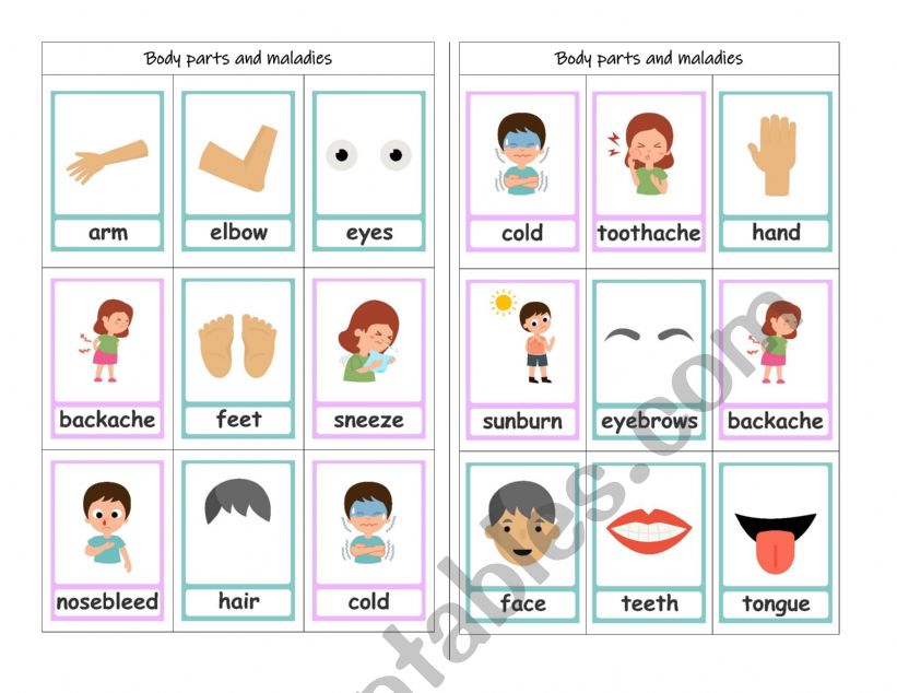 Bingo body parts and maladies worksheet