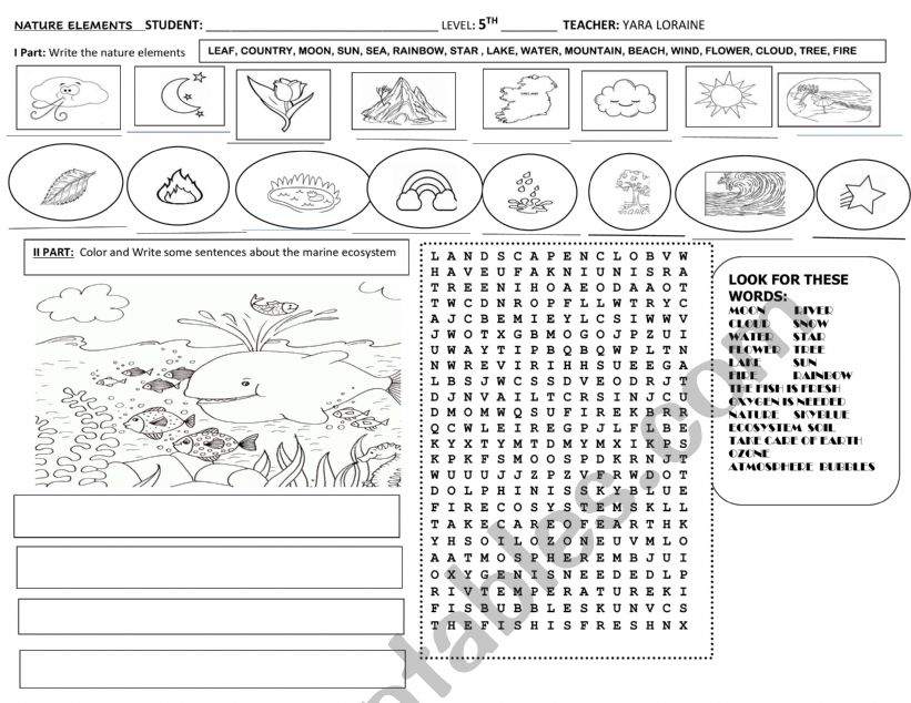 NATURE ELEMENTS CLASSWORK  worksheet