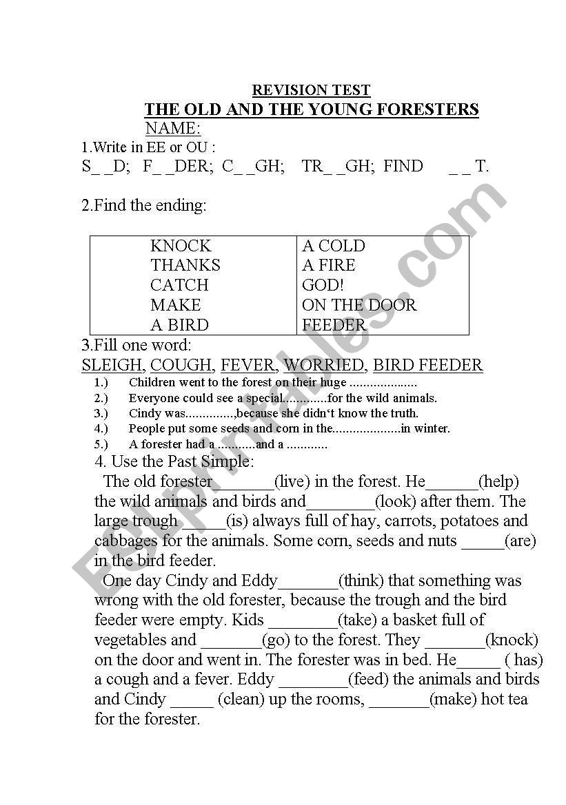 Past tenses worksheet