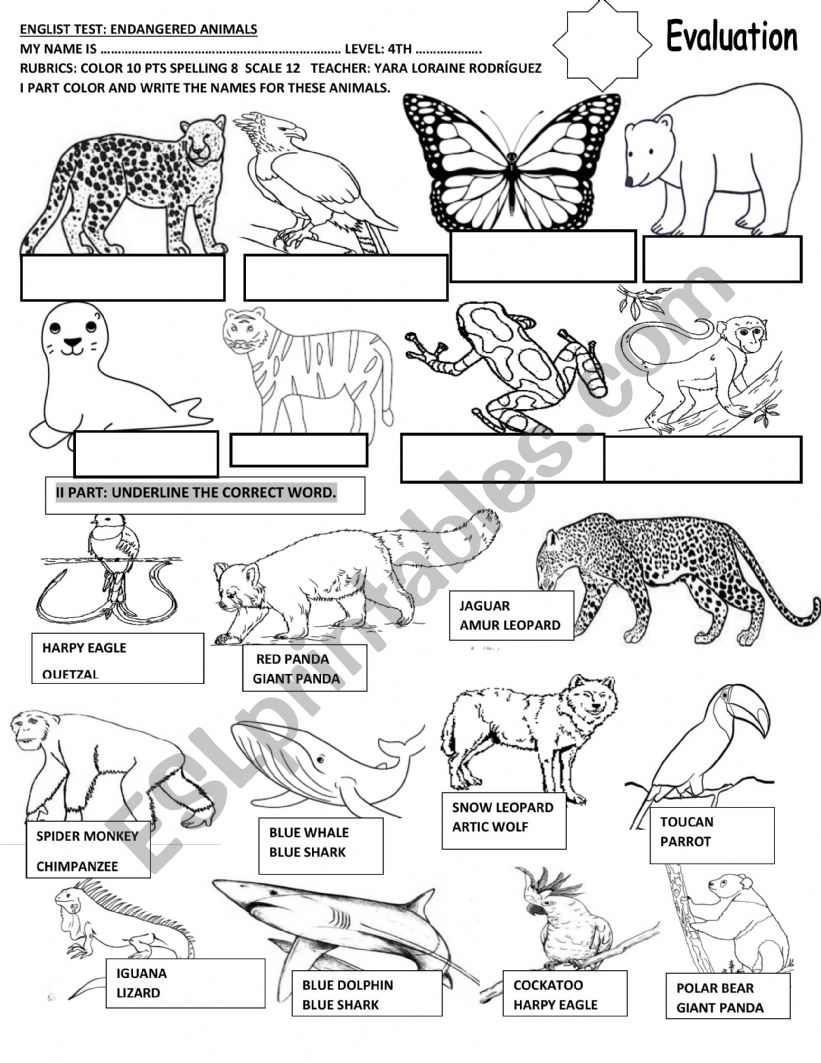 ENDANGERED ANIMALS TEST  worksheet
