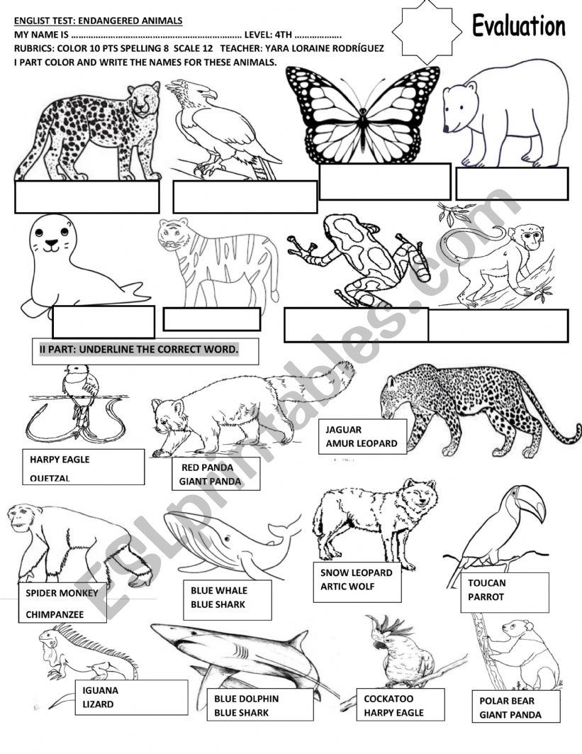 ENDANGERED ANIMALS TEST  worksheet