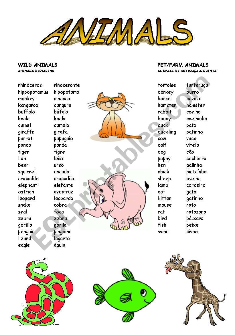 Wild, pet and farm animals worksheet