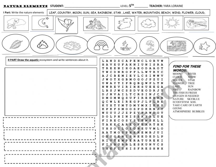 NATURE WORKSHOP  worksheet