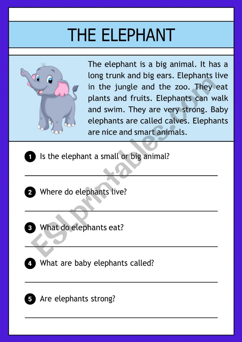 The elephant -  reading comprehension