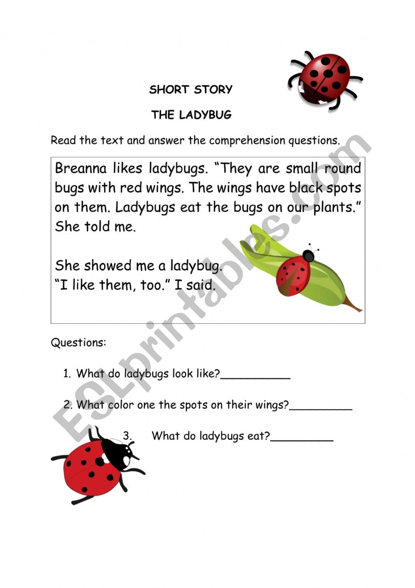 Ladybug story worksheet