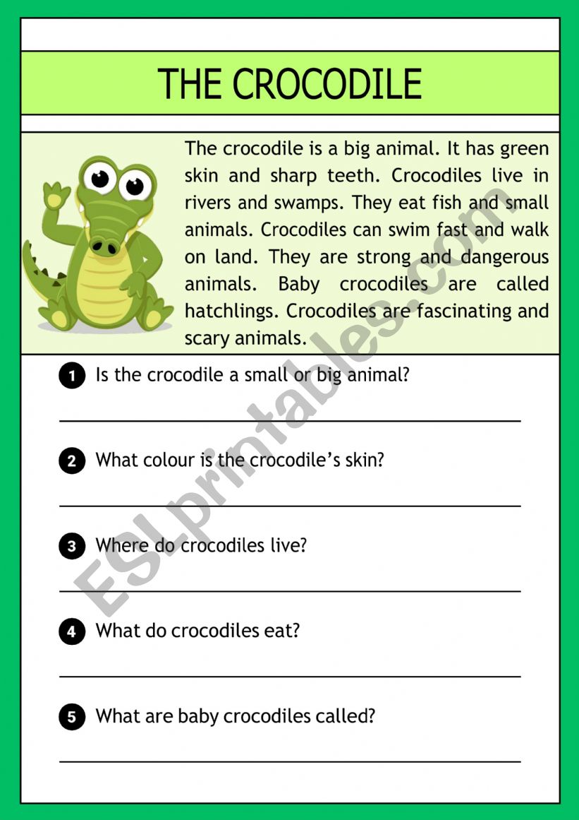 The crocodile -  reading comprehension