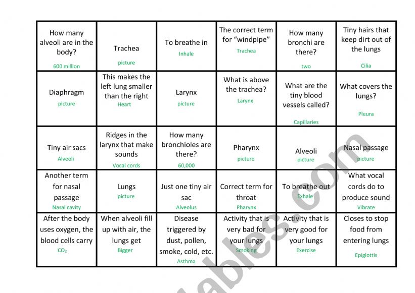Respiratory Bingo worksheet