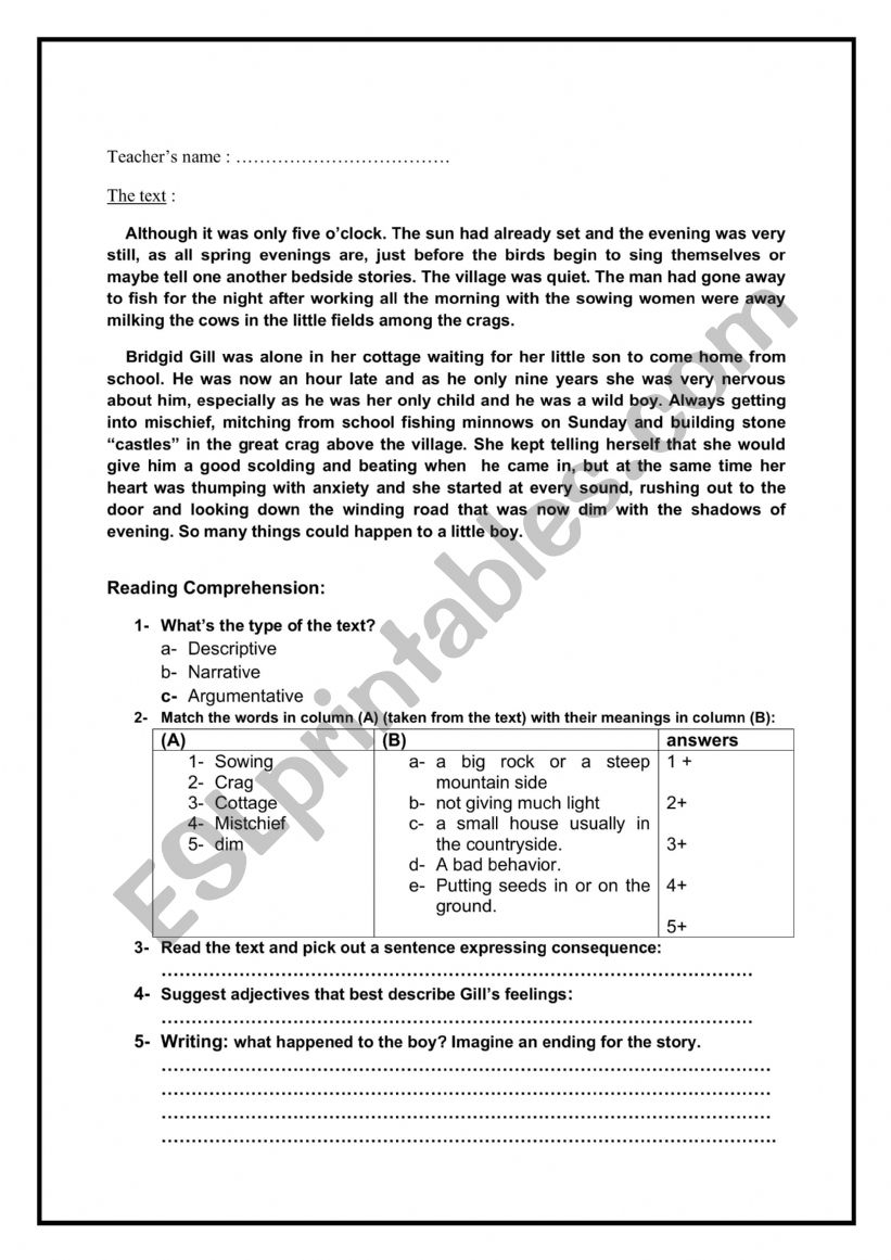 Reading comprehension worksheet