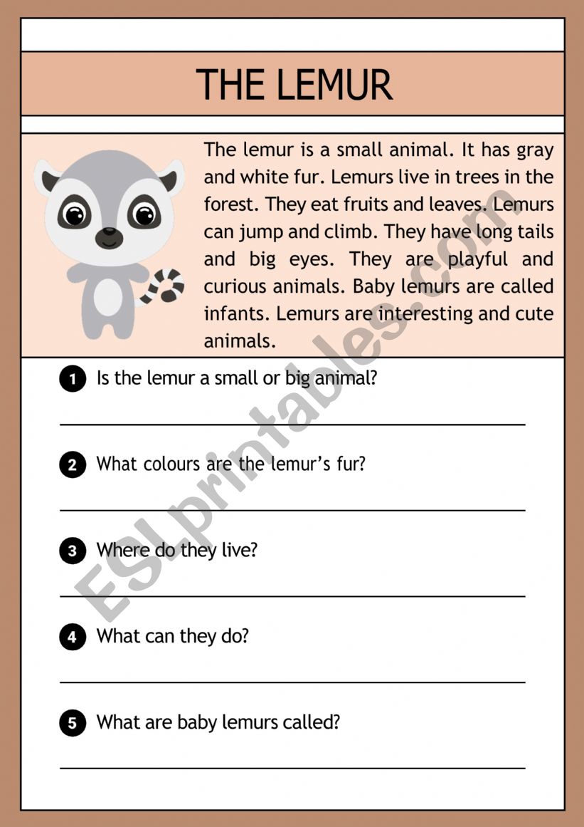 The lemur -  reading comprehension