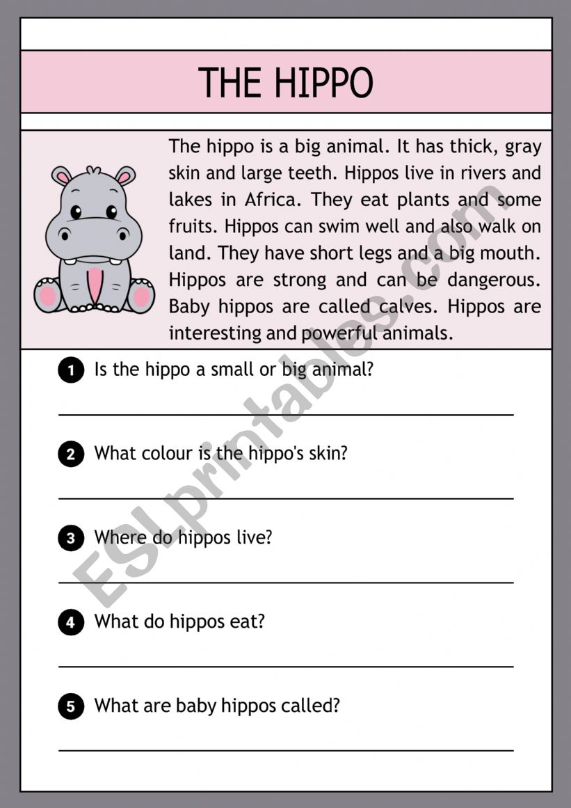 The hippo -  reading comprehension