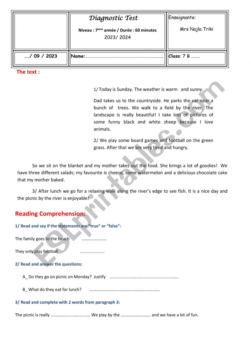 diagnostic test 7th form worksheet