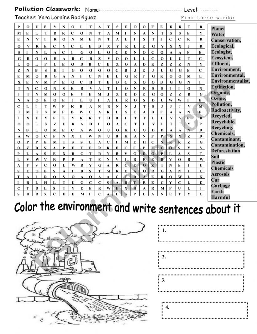 ENVIRONMENT CLASSWORK  worksheet