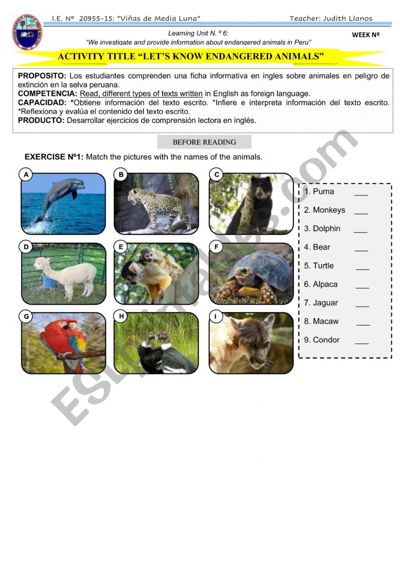 ENDANGERED ANIMALS worksheet
