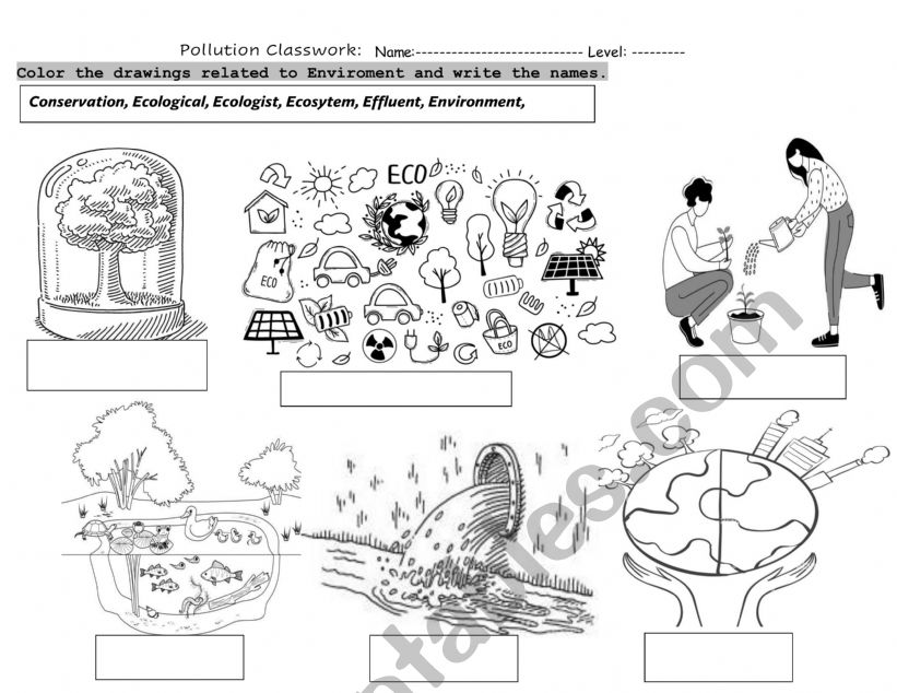 ENVIRONMENT CLASSWORK  worksheet