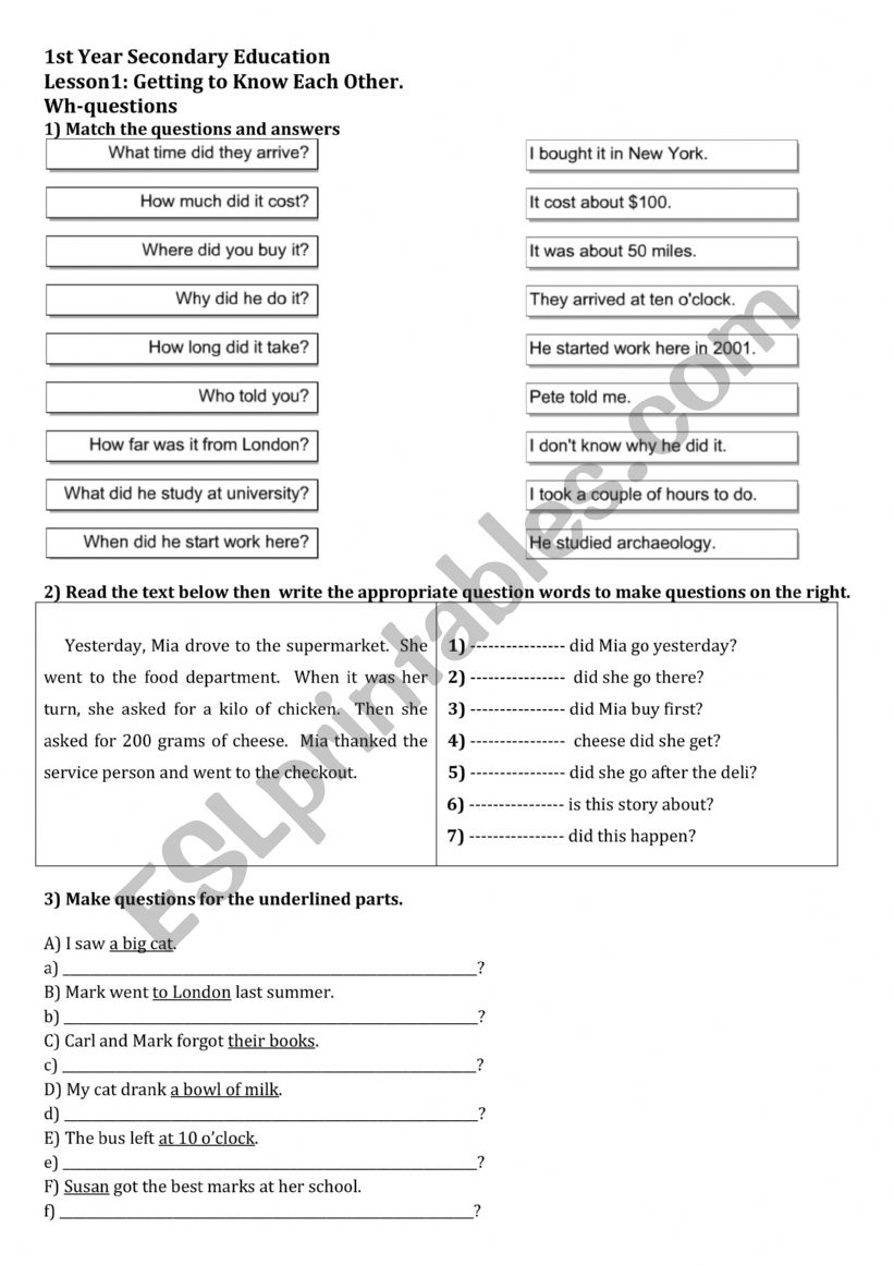 1st YSE: Lesson1: Getting to know each other: Wh-questions