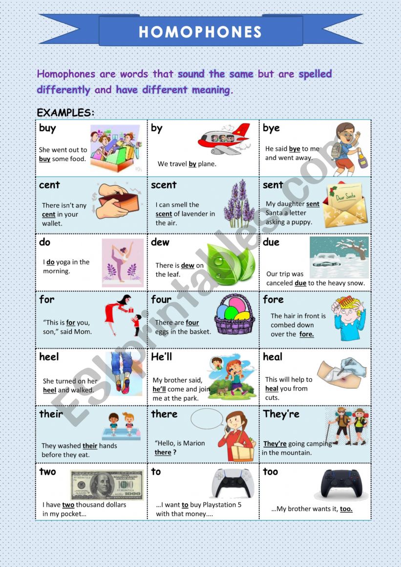 HOMOPHONES worksheet