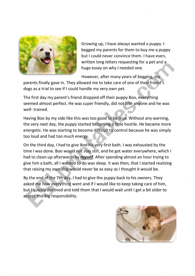 final test n3 grade 8 worksheet