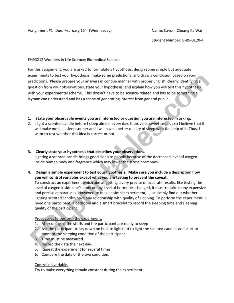 bkbknn worksheet