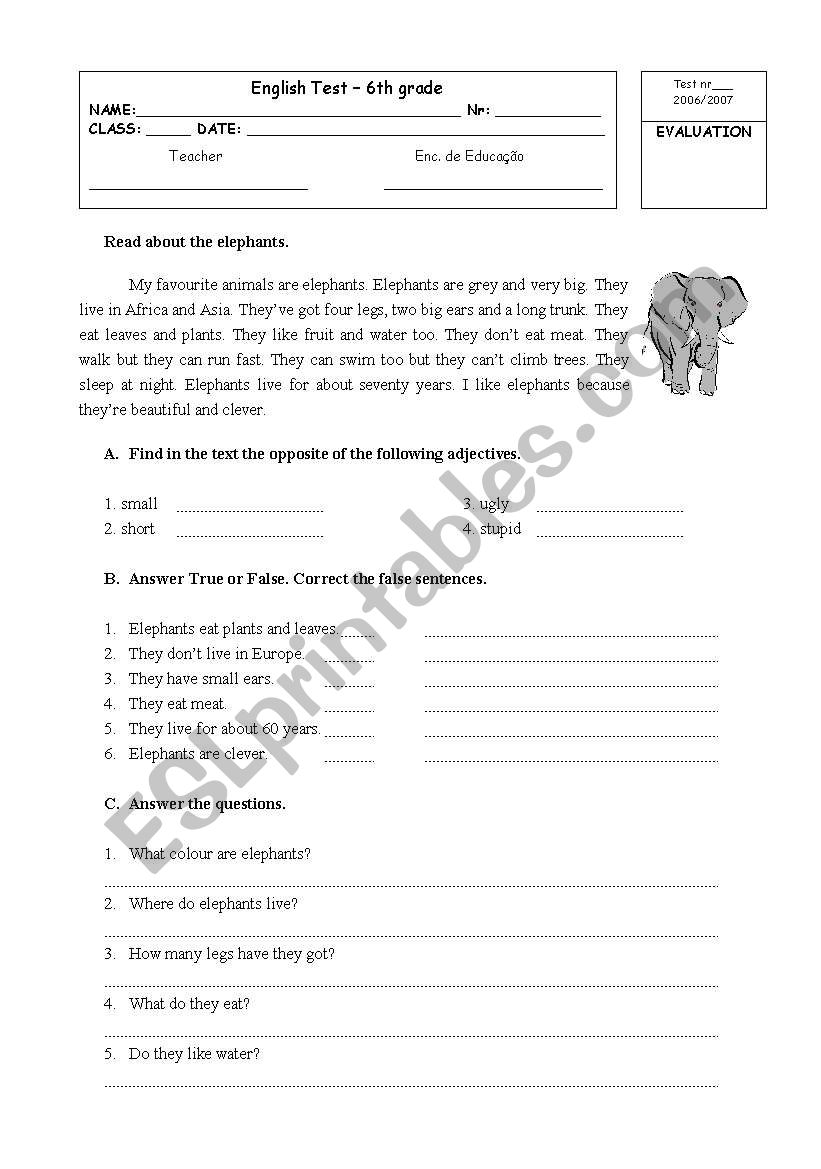 Mixed exercises worksheet