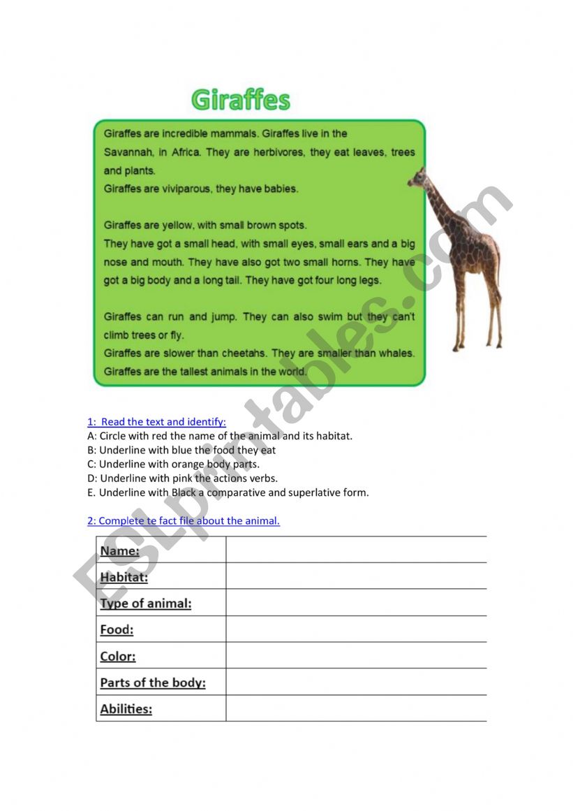 Animal description worksheet