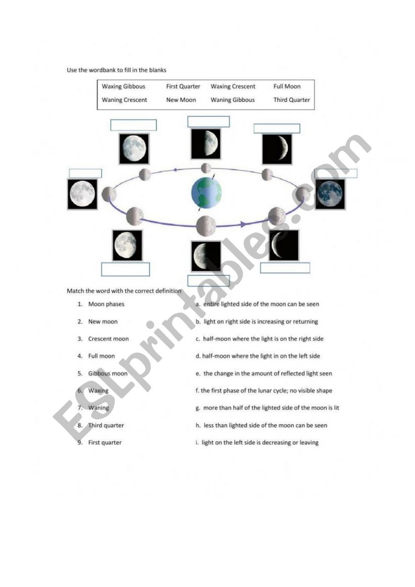 Phases of the Moon worksheet