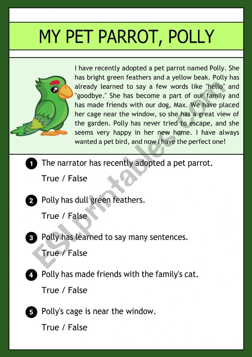 My pet parrot, polly worksheet