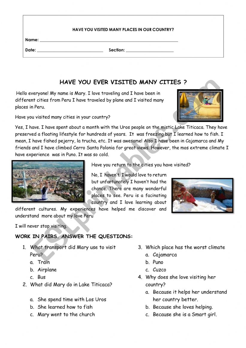 present perfect worksheet