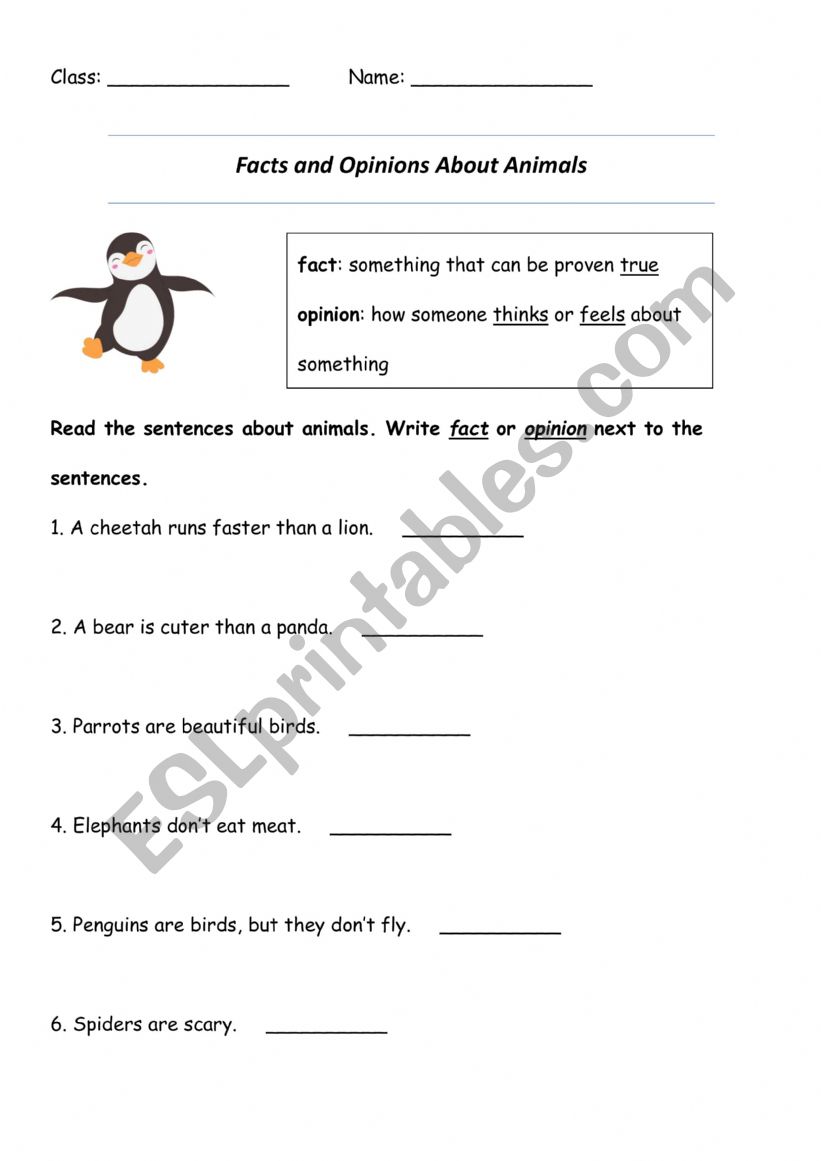 Animal Facts and Opinions worksheet