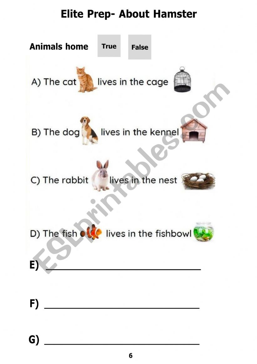 Animals home worksheet