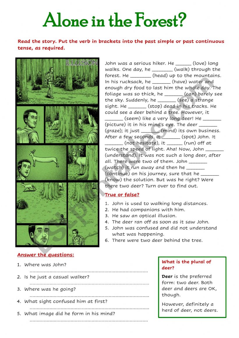 Alone in the Forest? worksheet