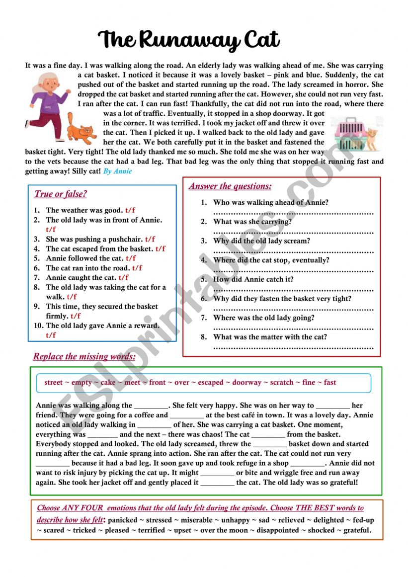 The Runaway Cat worksheet