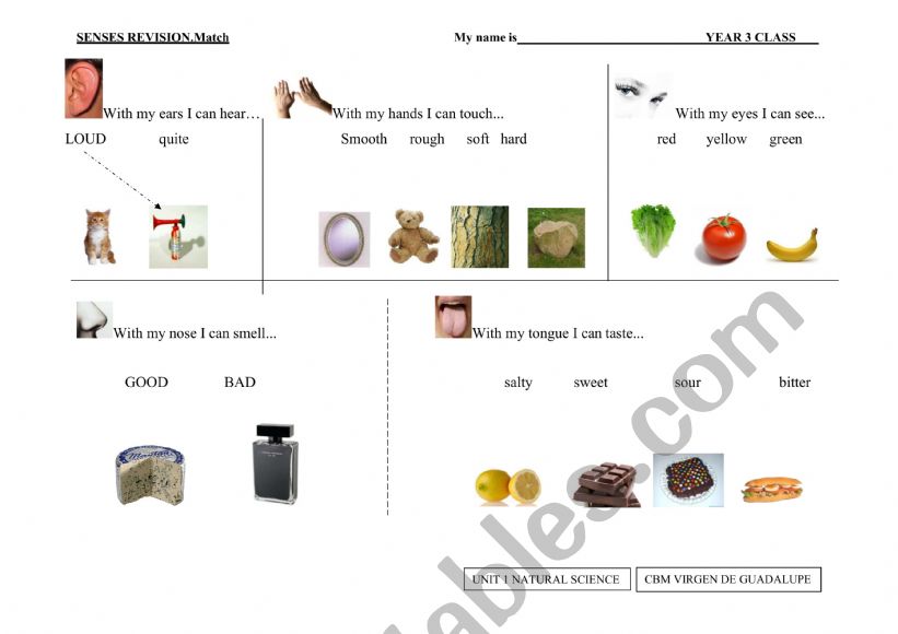 SENSES worksheet