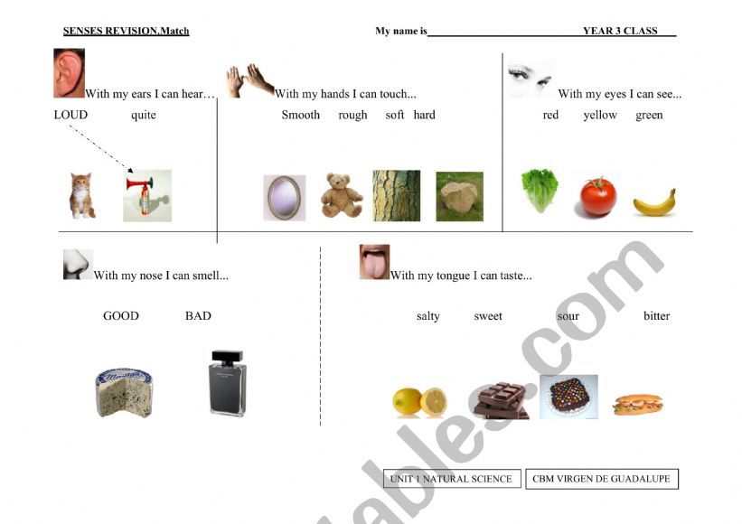 SENSES worksheet