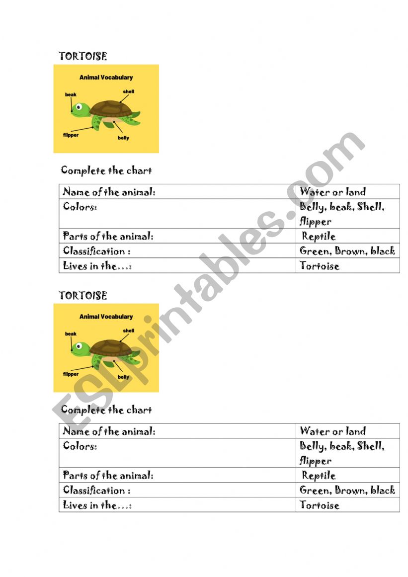 Tortoise worksheet